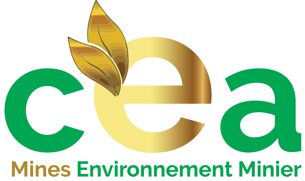 ceamem-logo