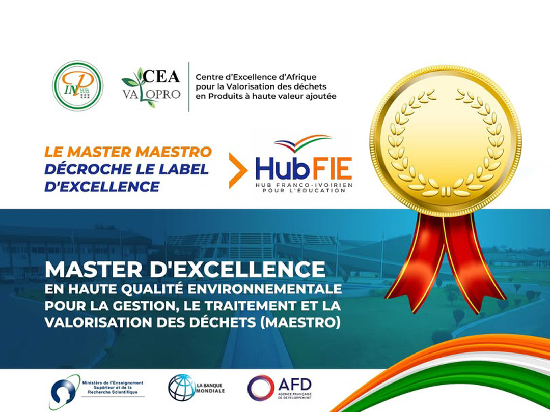 Le Master MAESTRO decroche le label d'Excellence HubFIE